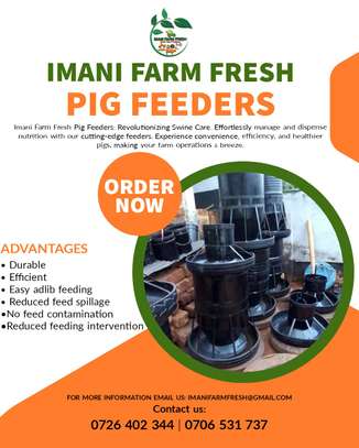 automatic pig feeder,Tyre model image 1