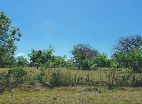 1/4  acre of land in Mamba Kilifi image 1