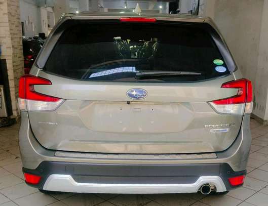 Subaru Forester E-boxer with sunroof 2018 image 11