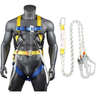 Double Hook Safety Harness image 3