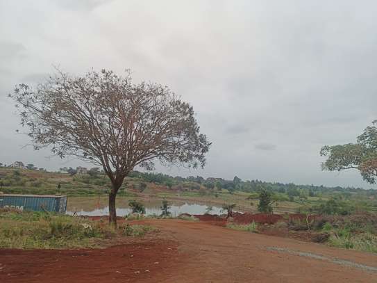0.25 ac Land at Thika Greens Golf Estate image 15