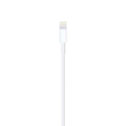 Lightning to USB Cable (1 m) image 2