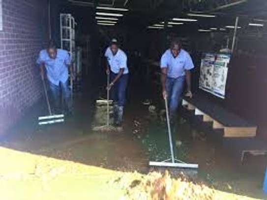 CLEANING SERVICES,FUMIGATION & PEST CONTROL KINOO image 2