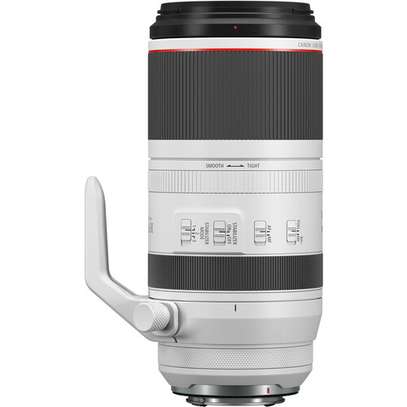Canon RF 100-500mm f/4.5-7.1L IS USM Lens image 2