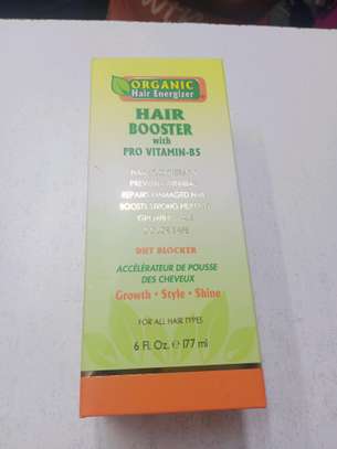 Organic Hair Booster With Pro Vitamin B5 image 1