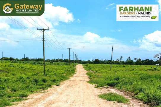 Farming land in Malindi image 4