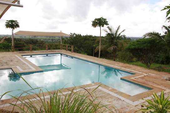 5 Bed Villa with En Suite in Vipingo image 11