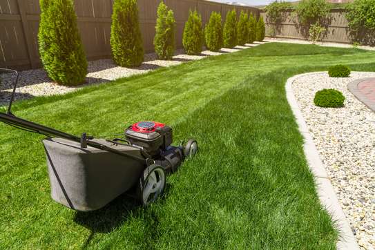 Landscaping Services in Kenya.Low Cost Garden Maintenance image 12