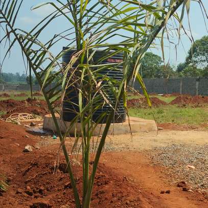 Prime 1/4 Acre Residential Plots along Ruiru-Githunguri Road image 4