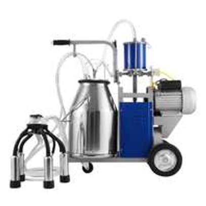 Electric Milking Machine Stainless Steel Double Bucket image 2