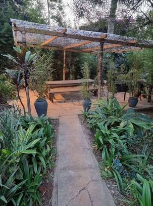 1 Bed House with En Suite at Peponi Rd image 4