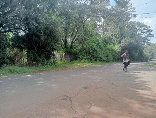 Land in Karen Hardy image 5