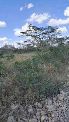 25 ac Land in Katani image 1