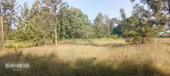 Kithimu 1½ Acres image 6
