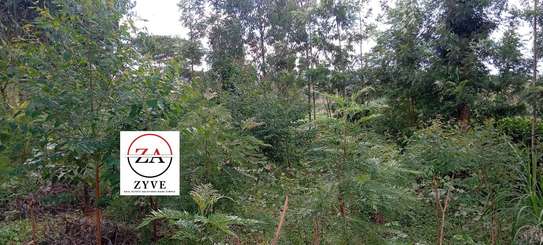 0.125 ac Land at Kasphat Estate image 6