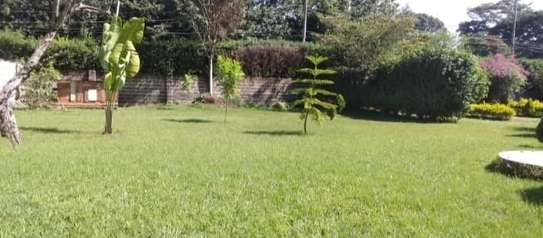 4 Bed House with Garden at Karen image 4