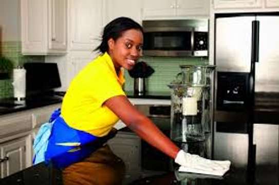 Nannies Private Teachers Nursemaids (New Born Care ) Cleaning & Domestic Services image 3