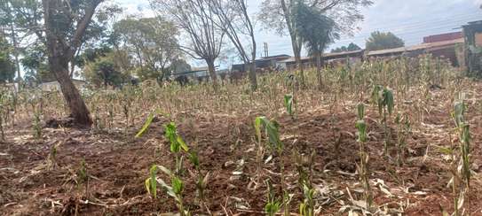 Prime 2 Acres Commercial Property for Sale – Mount View image 13