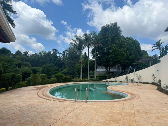 5 Bed House with Swimming Pool in Nyari image 2
