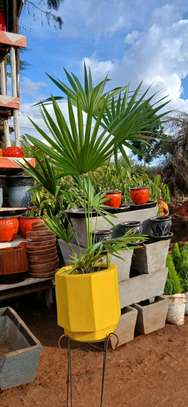 Faith's-Line Landscapers image 3