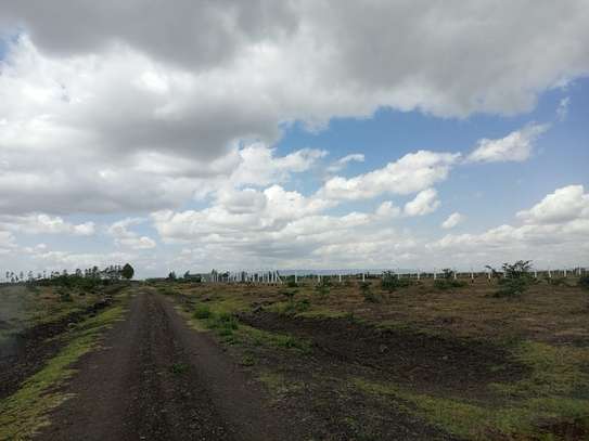 0.125 ac Land at Mwalimu Farm image 18