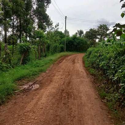 40*110 ft plots for sale at Kenol along Kagia road image 6