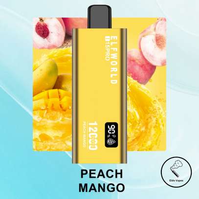 ELFWORLD I15 PRO 12000 Puffs Rechargeable Vape – Peach Mango image 1