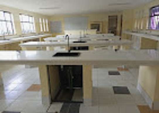 School laboratories construction and fitting. image 2