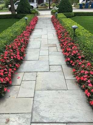 Landscaping company service provider image 2