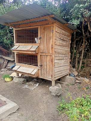 Chicken Shed image 2