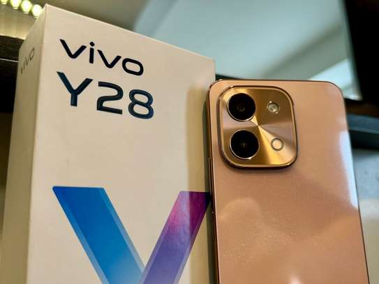 Vivo Y28 - 6.64", 8GB RAM + 256 GB, Dual SIM 6000mAh image 1