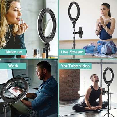 WUZHI 10 inch Ring Light with Stand and Phone Holder image 1