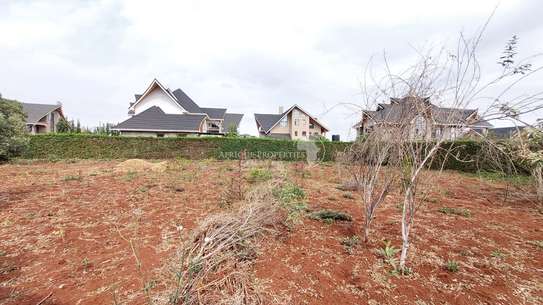 Prime 1/4 acre plot for sale in Daykio Bustani Ruiru image 3