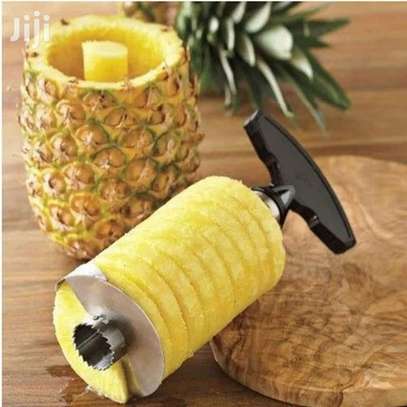 Pineapple Peeler image 3
