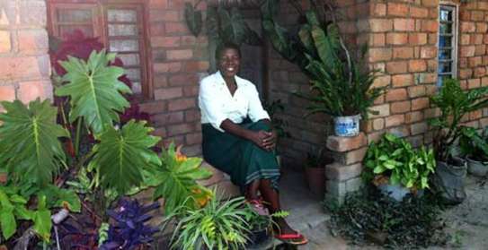 Expert Gardening Services in Nairobi image 6