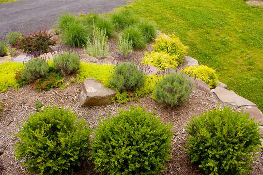Landscaping Services in Kenya.Low Cost Garden Maintenance image 9