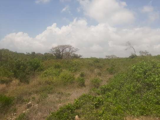 45 acre beach front plot at Funzi image 5