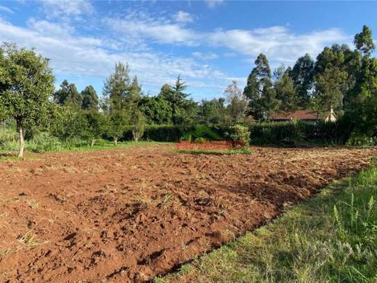 6,000 m² Land in Limuru image 13
