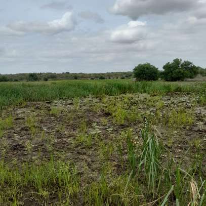 1200 Acres Touching Sabaki River In Malindi Is For Sale image 2