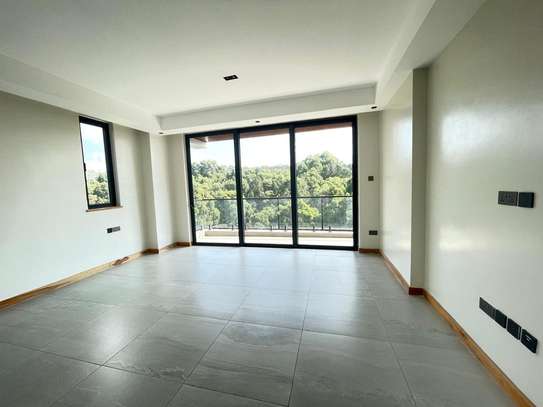 4 Bed Apartment with En Suite in Spring Valley image 7