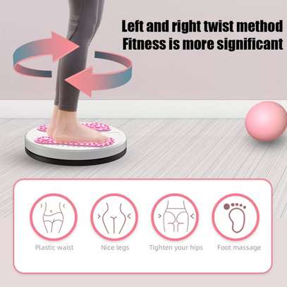 Yoga Twist Disc Plate image 2