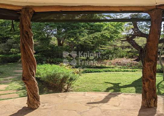 3 Bed House with Garden at Lewa image 13