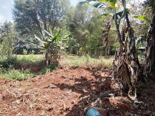 Residential Land at Fronting Limuru Road image 17