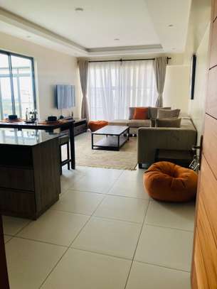 FULLY FURNISHED ONE BEDROOM PENTHOUSE IN KILIMANI image 1