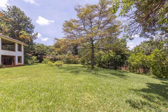 3.6 ac Residential Land in Spring Valley image 14