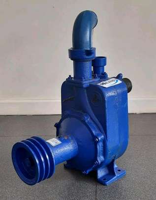Bare pump centrifugal pump image 1