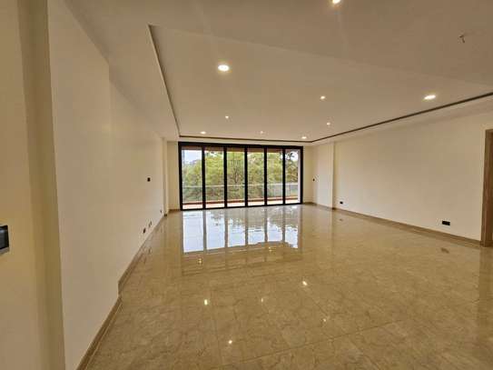 4 Bed Apartment with En Suite in Spring Valley image 8