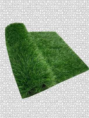 quality turf grass image 1