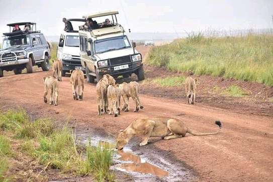 3 Days Best of Masai Mara Safari image 15