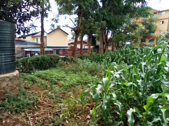 1/4-Acre Plot For Sale in Wangige image 4